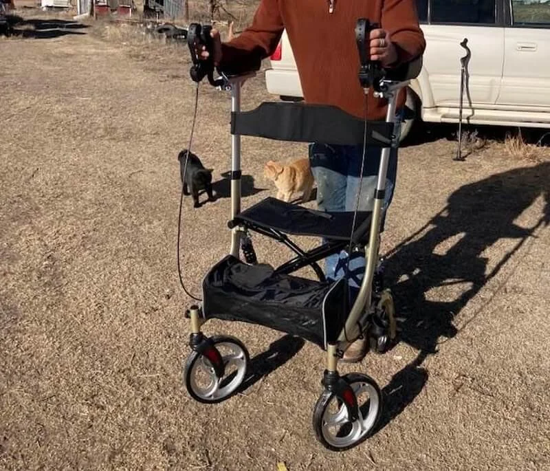 Beyour Walker: top choice for affordable senior mobility solutions