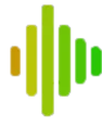 Amplify Web Design
