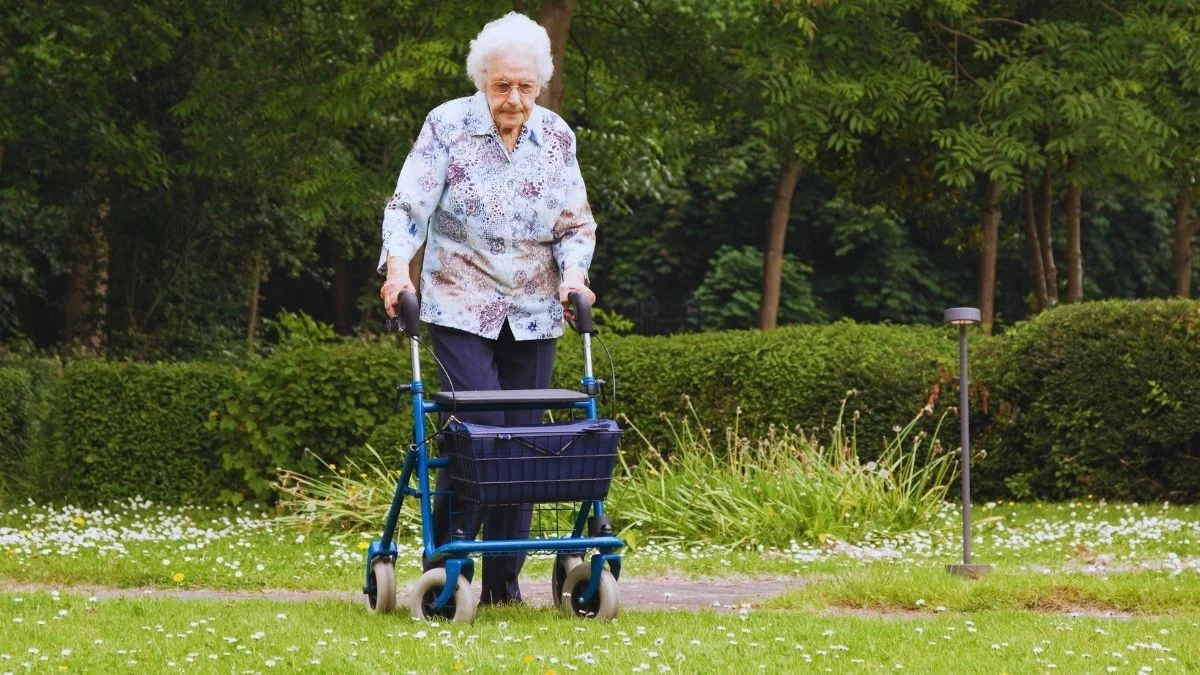 Comprehensive guide to walkers enhancing mobility in elderly individuals