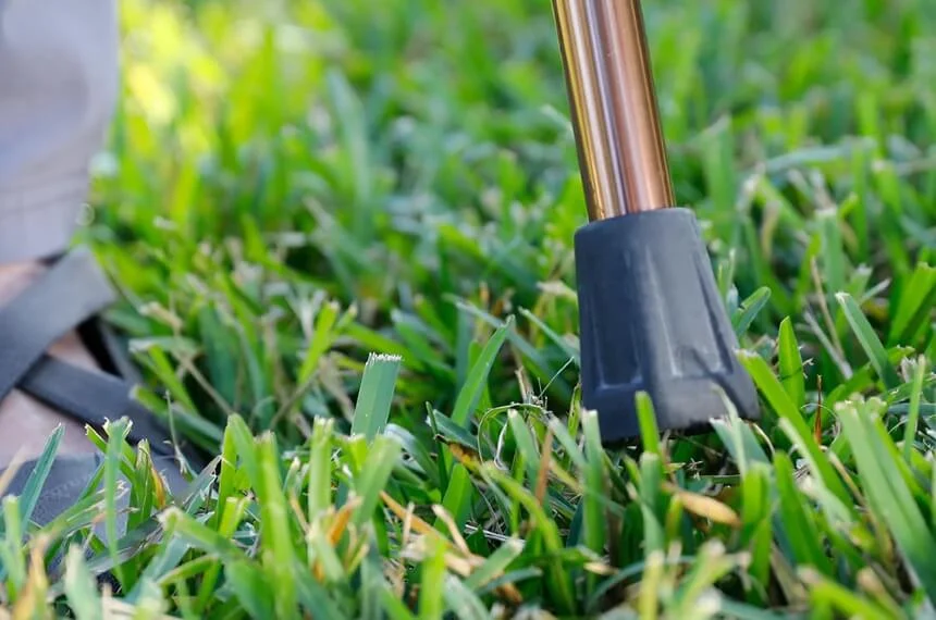 Selection of walking canes designed for senior mobility