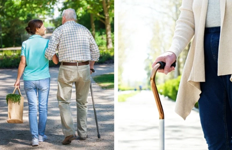 Overview of different types of walking canes for elderly support